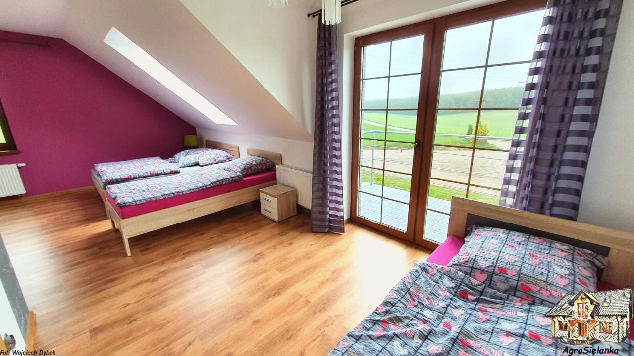 Vila Agrosielanka Lipnica  Exteriér fotografie